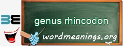 WordMeaning blackboard for genus rhincodon